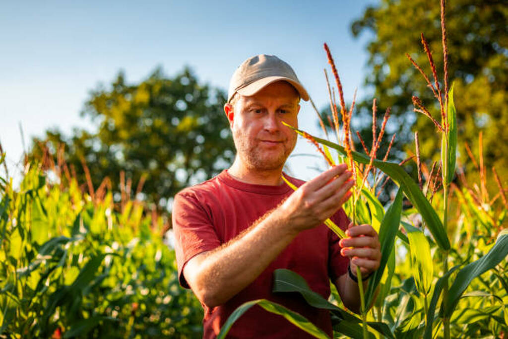 Agricultural jobs in the uk